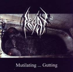 Decay (FIN) : Mutilating ... Gutting
